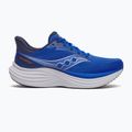 Vyriški bėgimo batai Saucony Triumph 24 lapis/silver