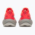 Vyriški bėgimo batai Saucony Ride Tr 3 vizired/gatget 4