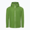 Vyriška striukė nuo lietaus Marmot Minimalist Pro Gore Tex green M12351 4
