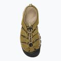 KEEN Newport vyriški žygio sandalai 6