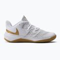 Nike Zoom Hyperspeed Court tinklinio bateliai white SE DJ4476-170 2