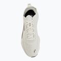 Vyriški bėgimo batai Brooks Glycerin Flex bluewash/morel/beige 5