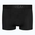 Vyriški terminiai boksininko šortai Icebreaker Anatomica Cool-Lite black