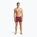 Vyriškos termoaktyvios trumpikės icebreaker Anatomica Boxers port 3