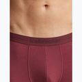 Vyriškos termoaktyvios trumpikės icebreaker Anatomica Boxers port 7