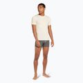 Vyriškos termoaktyvios trumpikės icebreaker Merino 125 Cool-Lite Anatomica gritstone heather 5