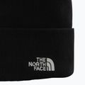 Vyriška treniruočių kepurė The North Face Norm Beanie black 2