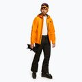 Vyriškos slidinėjimo kelnės The North Face Chakal black NF0A5IYVJK31 2