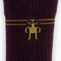 Moteriškos Smartwool Performance Hike Light Cushion Mid Crew trekingo kojinės violetinės SW001572590 3