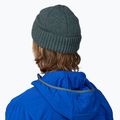 Žieminė kepurė Patagonia Brodeo Beanie fitz roy icon/nouveau green 3