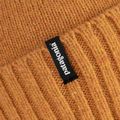 Patagonia Brodeo Beanie džiovintų mangų trekingo kepurė 4