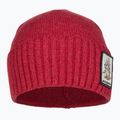 Patagonia Brodeo kepurė su snapeliu Fun hogs armadillo/touring red trekking cap 2