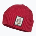 Patagonia Brodeo kepurė su snapeliu Fun hogs armadillo/touring red trekking cap 3