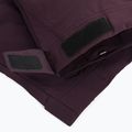 Vyriškos žygio kelnės Patagonia Point Peak Trail-Regular obsidian plum 4