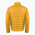 Vyriškas Patagonia Down Sweater cosmic gold švarkas 2