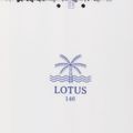 Moteriškos snieglentės Salomon Lotus white L47018600 6