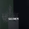 Vyriškos snieglentės Salomon Assassin PRO black L47017200 6