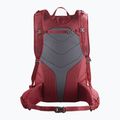 Salomon Trailblazer 30 l turistinė kuprinė Aura Orange/Biking Red LC2059900 2
