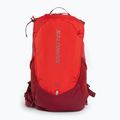 Salomon Trailblazer 20 l turistinė kuprinė Aura Orange/Biking Red LC2059700