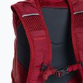 Salomon Trailblazer 20 l turistinė kuprinė Aura Orange/Biking Red LC2059700 5
