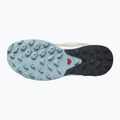 Moteriški trekingo batai Salomon Outrise GTX beige L47142700 16
