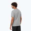 Vyriški marškinėliai Salomon Logo Performance heather grey 2