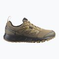 Vyriški bėgimo batai Salomon Wander GTX anthro/center/athmos 9