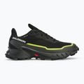 Vyriški bėgimo batai Salomon Alphacross 5 GTX black/peat/sulphur spring 2