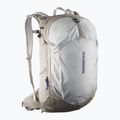 Turistinė kuprinė Salomon Trailblazer 30 l khaki/glacier gray