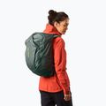 Turistinė kuprinė Salomon Trailblazer 30 l urban chic/green milieu 5
