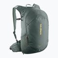 Turistinė kuprinė Salomon Trailblazer 20 l urban chic/green milieu