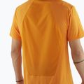 Vyriški marškinėliai Salomon Outline Tee turmeric 3