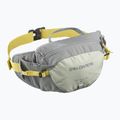 Rankinė ant juosmens Salomon Trailblazer 4 l sedona sage/seagrass/cress green