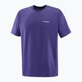 Vyriški marškinėliai Salomon Logo RX Tee astral 4