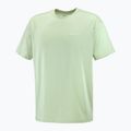 Vyriški marškinėliai Salomon Logo RX Tee sea foam 4