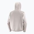 Vyriškas džemperis Salomon SHKout Half Zip Hooded etherea 7