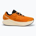 Vyriški bėgimo bateliai Salomon Aero Glide 3 turmeric/white/black 2