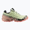 Moteriški bėgimo bateliai Salomon Speedcross 6 GTX lime cream/mahogany rose/black 2