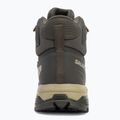Vyriški žygio batai Salomon X Ultra 5 MID GTX peat / gray green / blue nights 6