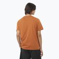 Vyriški marškinėliai Salomon Big Logo Tee sierra 2