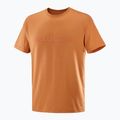 Vyriški marškinėliai Salomon Big Logo Tee sierra 4