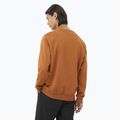 Vyriškas džemperis Salomon Logo Crewneck sierra 2