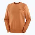 Vyriškas džemperis Salomon Logo Crewneck sierra 5