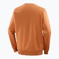 Vyriškas džemperis Salomon Logo Crewneck sierra 6