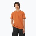 Vyriški marškinėliai Salomon Logo Tee sierra