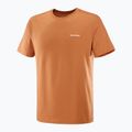 Vyriški marškinėliai Salomon Logo Tee sierra 4