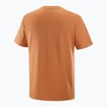 Vyriški marškinėliai Salomon Logo Tee sierra 5