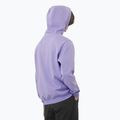 Vyriškas džemperis Salomon Logo Hoodie violet tulip 2