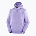 Vyriškas džemperis Salomon Logo Hoodie violet tulip 3