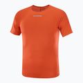 Vyriški bėgimo marškinėliai Salomon S/Lab Speed Tee flery red 4
